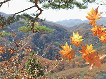 “绿色心灵 泥塑未来”佛祖岭街道开展绿色环保宣传活动